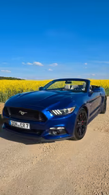 Ford Mustang 5.0 Ti-VCT V8 GT Premium  - Ford Mustang: Cabrio