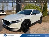 Mazda CX-30 2.5L e-SKYACTIV G 140PS 6AT FWD Homura - Mazda CX-30 Neuwagen