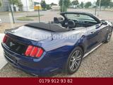 Ford Mustang Cabrio V-6 /TÜV und Inspektion NEU! - gebrauchte Ford Roadster