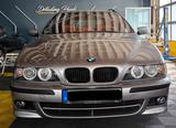 BMW e39 540i Touring Individual (M, Schalter) - BMW 540: Kombi, E39 540i