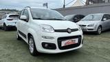 Fiat Panda 1.3 MULTIJET 312PX | DIESEL |312B1000 - Fiat Panda 312