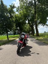 Honda Hornet CB600F*A2*TÜV* - Offers matching your search criteria