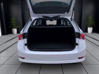 Skoda Octavia - Vorschau Bild 5