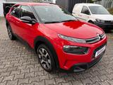 Citroën C4 Cactus Feel - gebrauchte Citroën C4 Cactus aus dem Jahr 2019