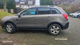 Opel opel antara - Opel Antara in Köln