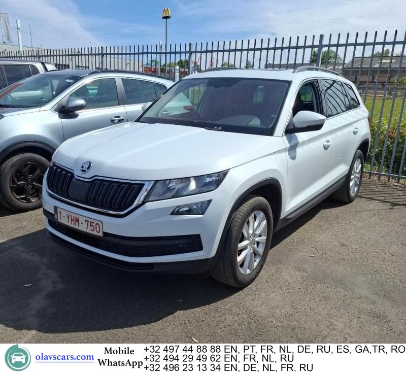 Image of Skoda Kodiaq