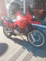 Honda Dominator 650 nx  - Angebote entsprechen deinen Suchkriterien