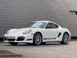 Porsche Cayman R - Porsche Cayman R mit Benzin-Antrieb