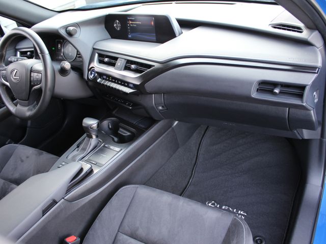 UX 250h LED*ACC*SHZ*Apple CarPlay