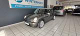 MINI Mini Cooper 1.6 Park Lane XENON KAMERA SHZ - MINI MINI: Park Lane
