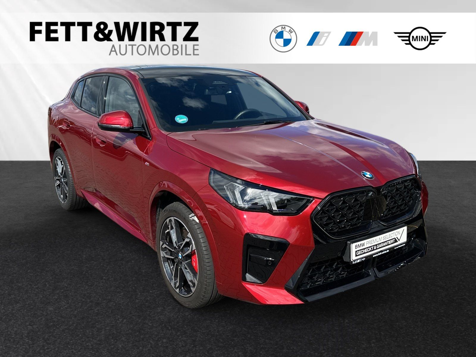BMW X2 sDrive20d M Sport Pro Pano Head-Up 19 LMR foto 1