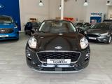 Ford Puma Titanium - gebrauchte Ford Puma aus dem Jahr 2024