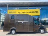 Peugeot Boxer 2 Pferdetransporter 3,5t. - Tier- & Pferdetransport für 2 Pferde