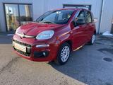 Fiat Panda 1.2 Klima, Service + Zahnriemen neu - Fiat Panda: Rot
