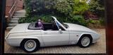 Other Andere - Other aus 1985 mit Benzin-Antrieb: Cabrio
