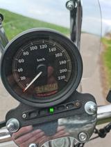 Harley-Davidson Sportster 883 XL Low  - HARLEY-DAVIDSON 2007 883 SPORTSTER