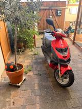 Suzuki AY50WR - SUZUKI VON 1 BIS 50 CCM