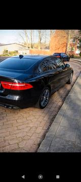 Jaguar XE 20d 180PS R-Sport Automatik R-Sport - Jaguar XE 20d Gebrauchtwagen
