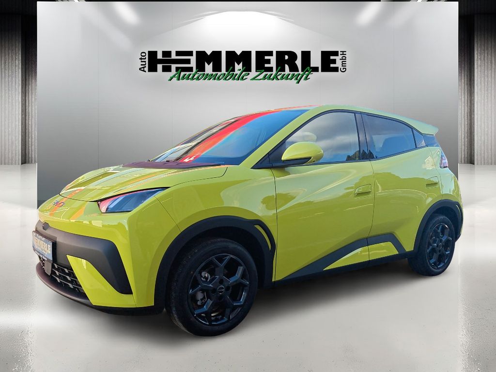 DOLPHIN SURF Comfort*BLACK FRIDAY NOCH 2 TAGE