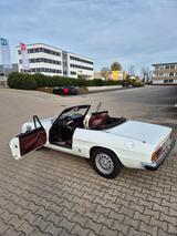 Alfa Romeo 2000 Spider Veloce 