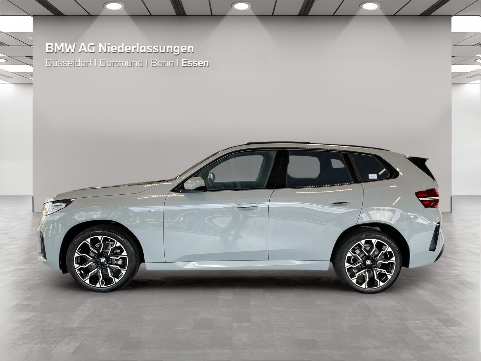 BMW X3 20d xDrive M Sport AHK Driv.Assist Harman K foto 5