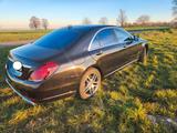 Mercedes-Benz S 560 4MATIC - V8 - Mercedes-Benz S 560 Benziner Gebrauchtwagen