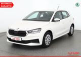 Skoda Fabia 1.0 MPI Active LED SmartLink Sitzheizung - Skoda Fabia: Active