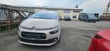 Citroën Grand C4 Picasso/Spacetourer Rip Curl - Citroën Grand C4 Picasso / SpaceTourer aus 2019