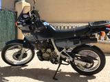 Honda NX 650  in seltener Farbe