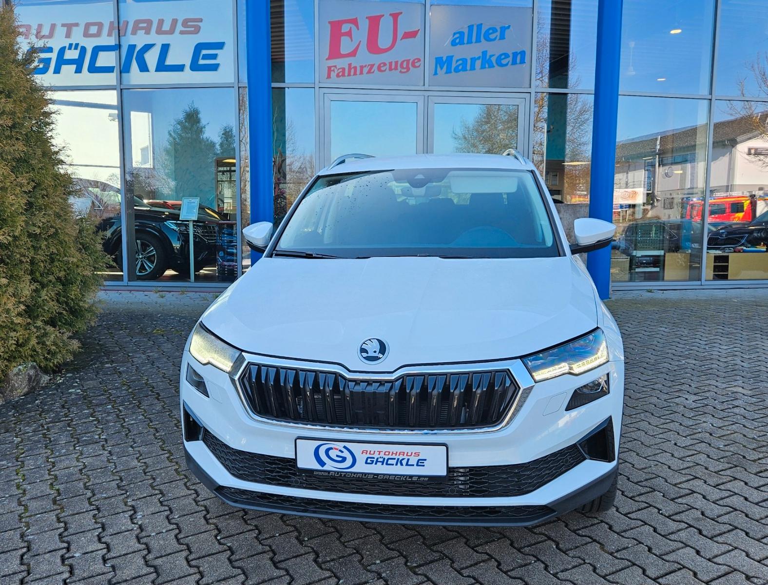 Skoda Karoq Matrix,AHK,Navi,eHeckkl,WinterPlus