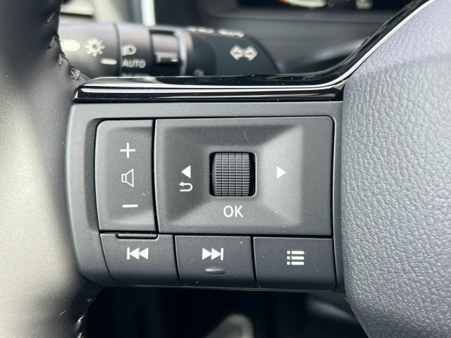 Fahrzeugabbildung Nissan Qashqai 1.5 VC-T e-Power Tekna Leder*19`*PGD*WP