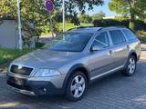 Skoda Octavia Combi Scout 2.0TDI 4X4 Xenon AHK Tüv neu - Skoda Octavia aus 2008: Kombi