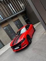 Dodge Charger - Dodge Charger Gebrauchtwagen