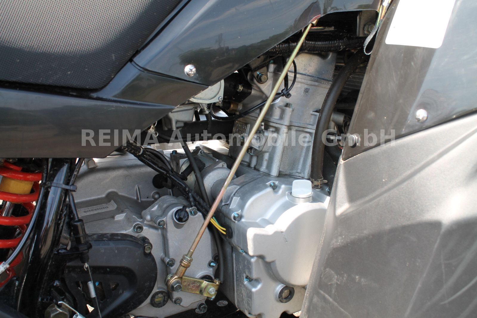 Fahrzeugabbildung Access Motor XTREME 300 mit Lof Zulassung