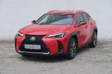 Lexus UX 300h F SPORT Design - Lexus UX: F Sport Design
