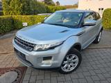 Land Rover Range Rover Evoque Pure Pano Xen 86tkm! - gebrauchte Land Rover Range Rover Evoque aus dem Jahr 2013
