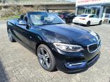 BMW 218 i Cabrio Sport Line Navi Leder 8-fch bereift - BMW: 2.8