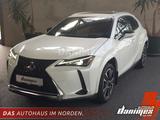 Lexus UX 250h AWD Luxury Executive Schiebedach Kamera - Lexus Gebrauchtwagen in Bremen