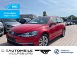 Volkswagen Golf 7 Variant 1.5TGI ACC/ALU/SITZHZ/CLIMATR - Volkswagen Golf mit CNG-Antrieb: Kombi