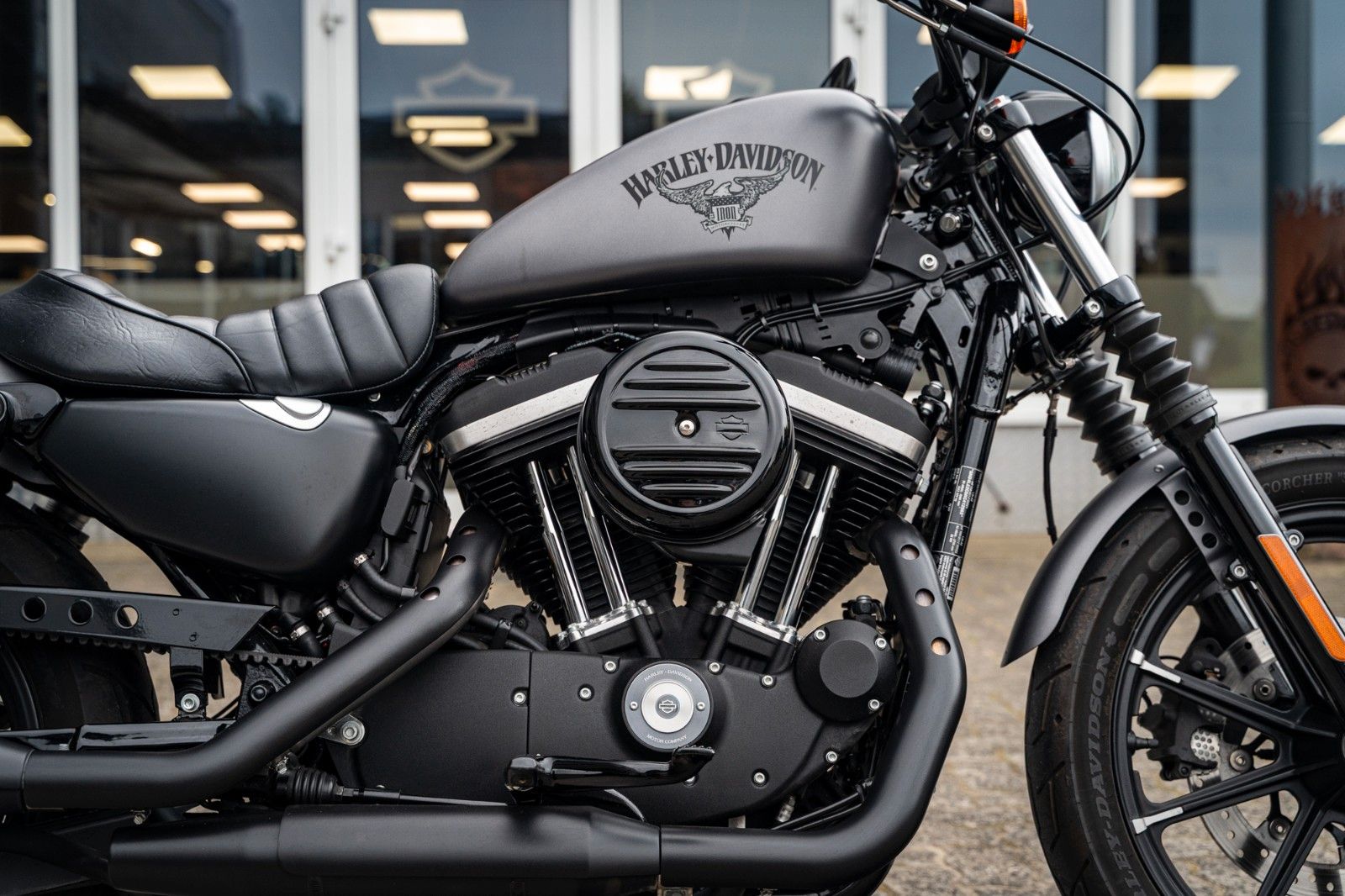 Fahrzeugabbildung Harley-Davidson XL883N - Iron