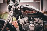 Harley-Davidson Sportster 883 XLH - HARLEY-DAVIDSON XLH 883 SPORTSTER
