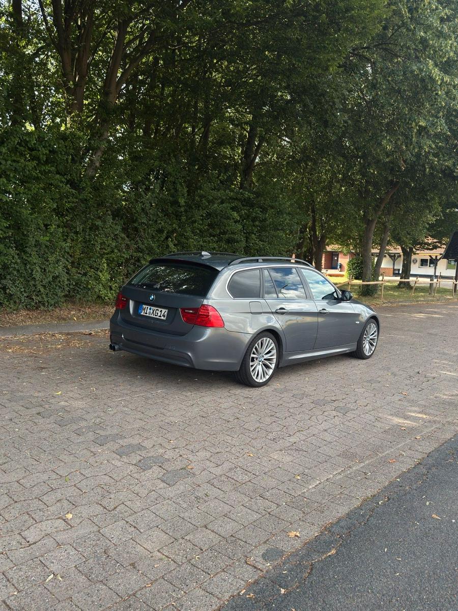 BMW 330 2006 — rear view