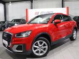 Audi Q2 1.6 TDI DESIGN / VIRTUAL-COCKPIT / PANORAMA - Audi: Geländewagen, Q6