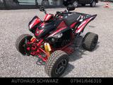 Aeon Cobra*AHK*LOF-Zulassung* - QUAD VON 251 BIS 500 CCM