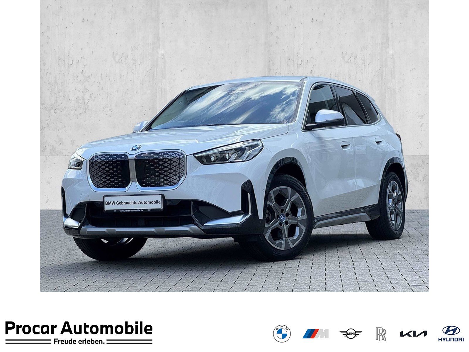 BMW iX1 xDrive30 xLine PA RFK DAB Shz CarPlay 18 LM foto 1