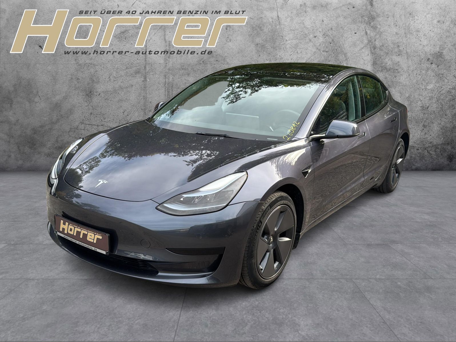 Tesla Model 3 Basis RWD A.Pilot Glasdach