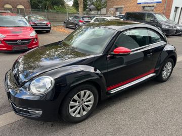 Volkswagen Beetle - 6