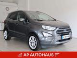 Ford EcoSport Titanium B&O Kamera Navi Bi-Xenon - Ford EcoSport Gebrauchtwagen in Berlin