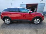 Peugeot 3008 Active Business - Peugeot 3008: Business