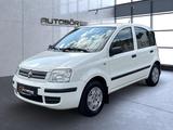 Fiat Panda 1.2 8V Dynamic HU neu/Service neu - Fiat Panda: Automatik